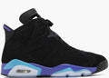 Jordan 6 AQUA