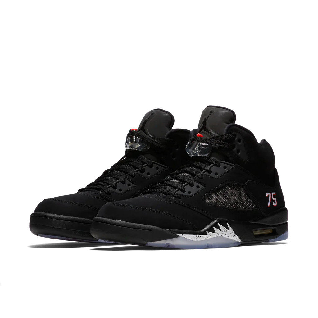 Jordan 5  PSG