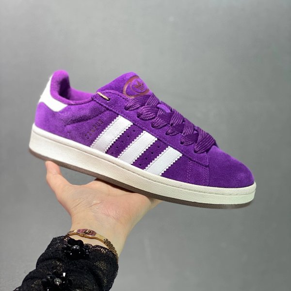 Campus Bright Purple